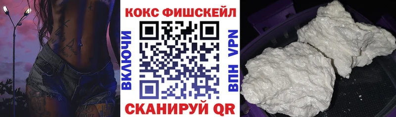 купить закладку  Спасск-Дальний  КОКАИН FishScale 