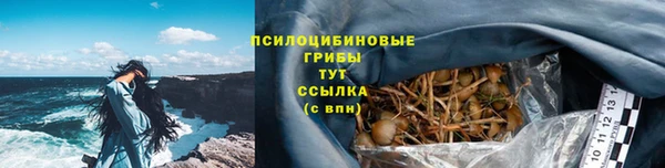 ECSTASY Баксан