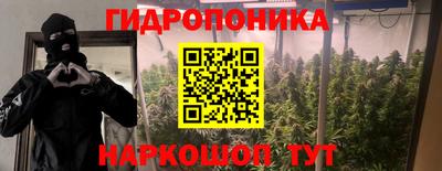 крисы Нальчик