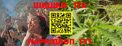 крисы Нальчик