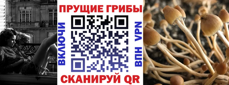 Галлюциногенные грибы ЛСД  где купить наркоту  Спасск-Дальний 