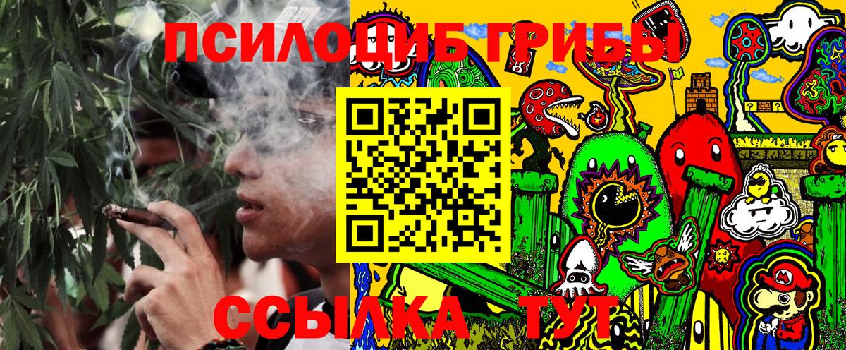 Псилоцибиновые грибы Psilocybe Спасск-Дальний