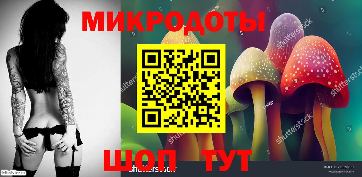 Спасск-Дальний  Псилоцибиновые грибы мицелий  Галлюциногенные грибы Psilocybe  Вход с VPN 